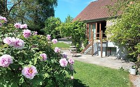 Gite De Miavoye Calme Nature Chaleur Vue